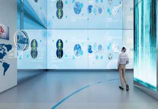 绵阳散养乌鸡好不好