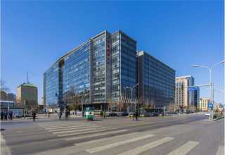 广西野生冬虫夏草的功效与作用及食用方法